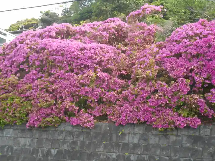 安養院 (田代寺)の周辺