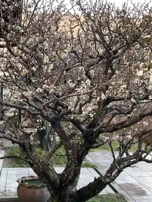 梅香寺(三重県)