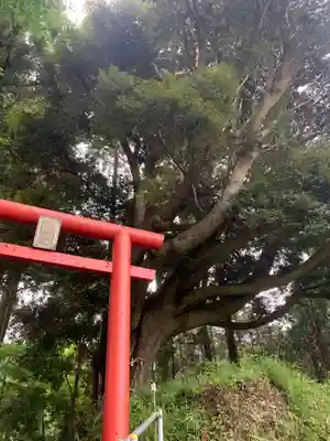 日枝神社(千葉県)