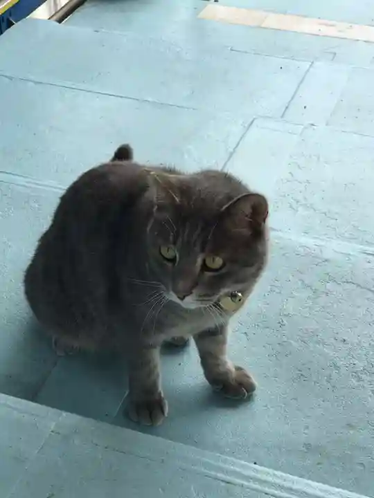 千光寺(広島県)