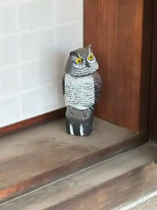 東漸寺(神奈川県)