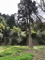 浅井神社(富山県)