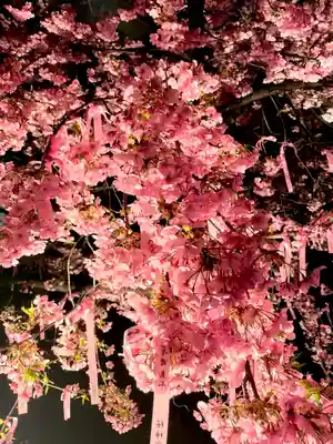 桜神宮(東京都)