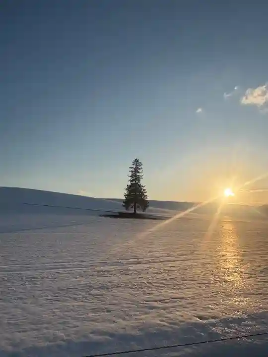 美瑛神社の周辺