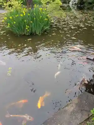 榊山稲荷神社(岩手県)