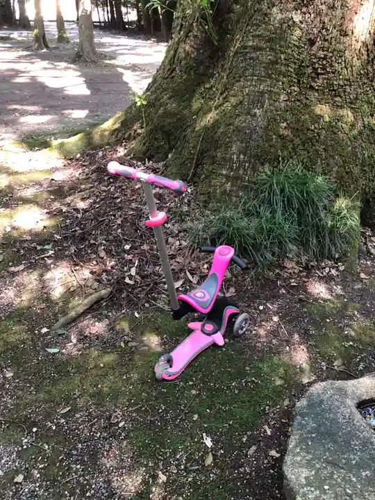神麻続機殿神社(皇大神宮所管社)の自然