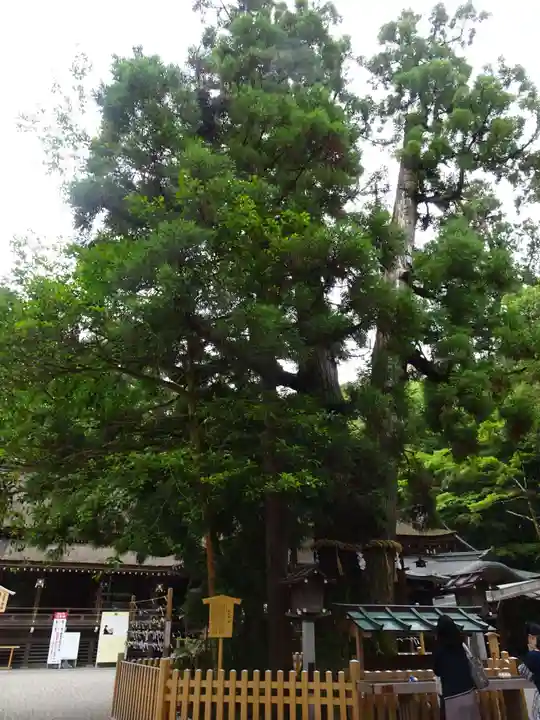 大神神社(奈良県)