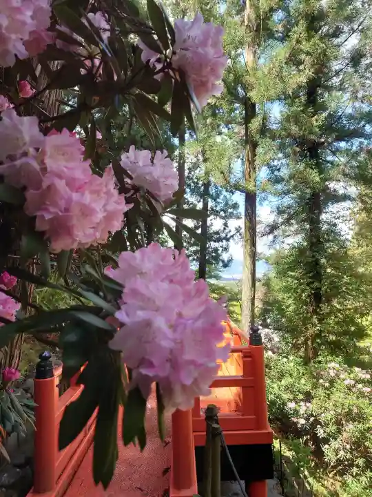岡寺(龍蓋寺)の{uncategorized: "未分類", other: "その他", undefined: "問題あり", building: "その他建物", grave: "お墓", sacred_gate: "鳥居", guardian: "狛犬", statue: "像", buddha: "仏像", history: "歴史", nature: "自然", garden: "庭園", animal: "動物", pagoda: "塔", temizu: "手水舎", mountain_gate: "山門・神門", sanctuary: "本殿・本堂", subordinate: "末社・摂社", art: "芸術", scenery: "景色", jizo: "地蔵", ema: "絵馬", goshuin: "御朱印", omikuji: "おみくじ", items: "授与品その他", amulet: "お守り", goshuincho: "御朱印帳", eats: "食事", festival: "お祭り", votive_dance: "神楽", shichigosan: "七五三参", wedding: "結婚式", experience: "体験その他", initially: "初詣", around: "周辺", anti_infection: "感染症対策"}