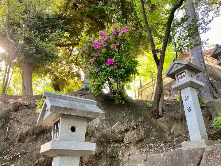 師岡熊野神社(神奈川県)