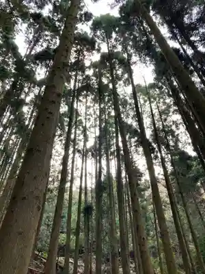 諭鶴羽神社の周辺