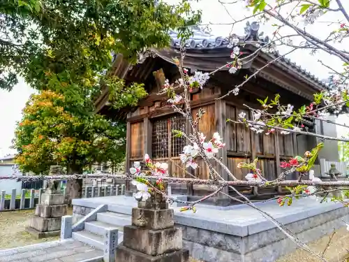 神明社（前ヶ平神明社）の自然