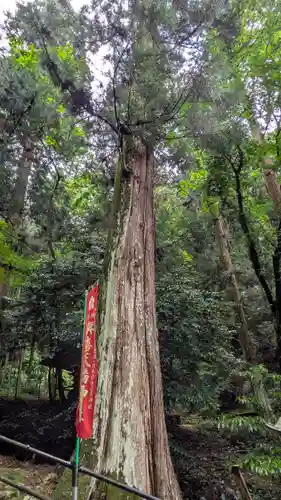 與喜天満神社(奈良県)