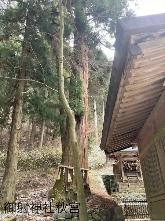 御射神社秋宮(長野県)