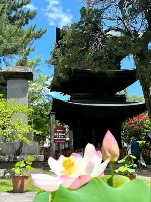 信濃國分寺の塔