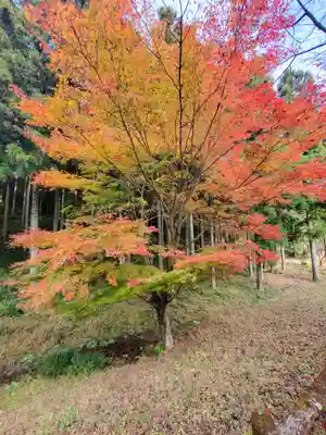 有綱神社(栃木県)