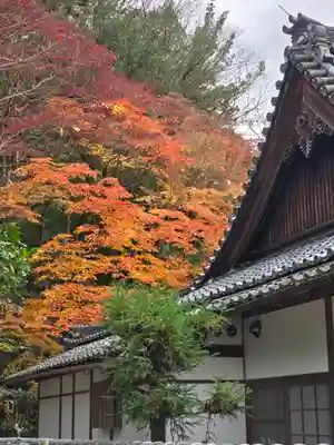 南禅寺(京都府)