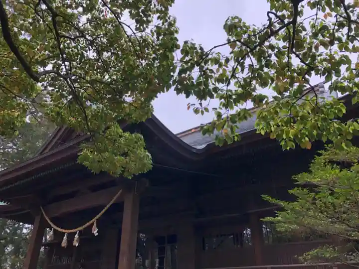 浜松八幡宮の本殿・本堂