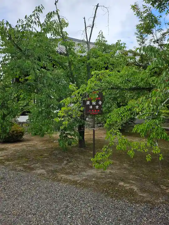 廣隆寺(京都府)