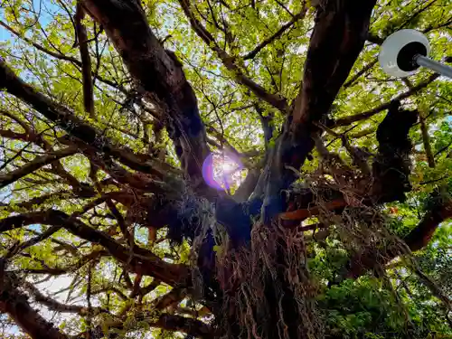 奈良尾神社(長崎県)