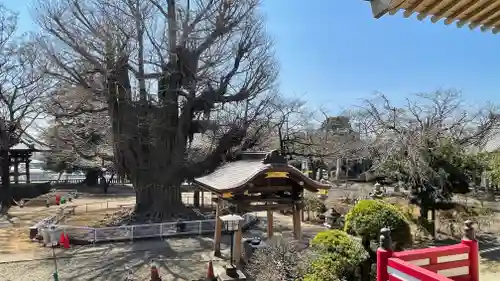 千葉寺(千葉県)