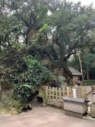 花窟神社の自然