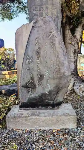 瑞輪寺(東京都)