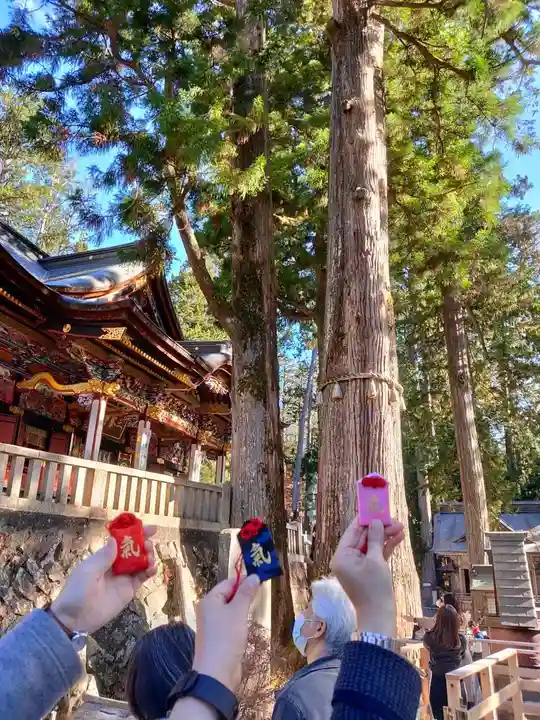 三峯神社の自然