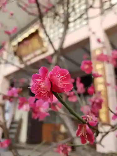聖輪寺のその他建物