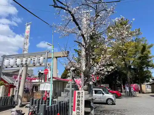 別小江神社(愛知県)