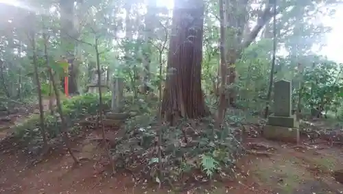 息栖神社の建物その他