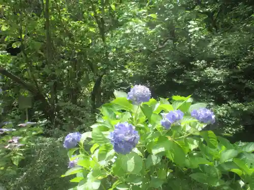 安國論寺（安国論寺）の自然