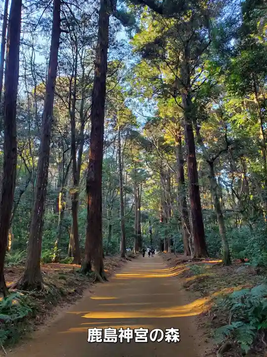 鹿島神宮(茨城県)