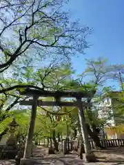 天鷹神社の鳥居