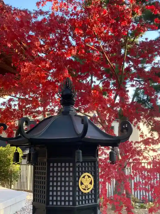 豪徳寺(東京都)