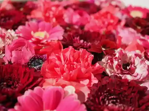 成田山深川不動堂（新勝寺東京別院）(東京都)