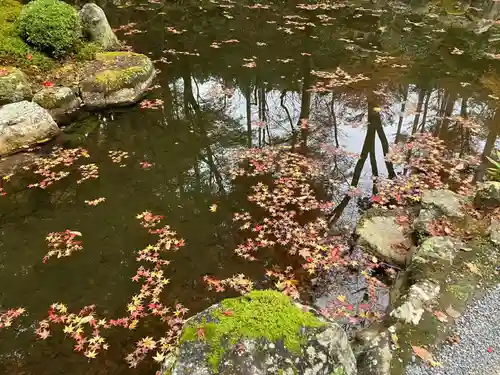 三千院門跡(京都府)