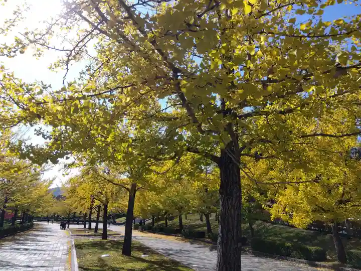白山神社(福井県)