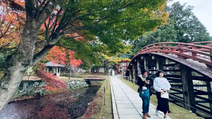 丹生都比売神社(和歌山県)