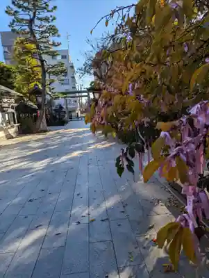 桜神宮(東京都)