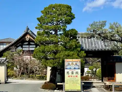 慈雲院(京都府)