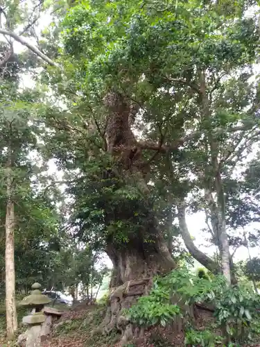 鉾山神社の自然