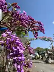 八幡大神社(埼玉県)