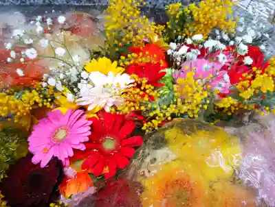 札幌諏訪神社の手水舎