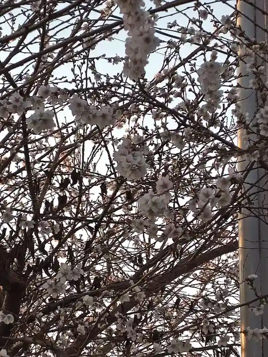 天満宮(滋賀県)