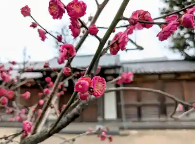西向天神社(東京都)