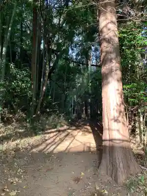 妙見神社(千葉県)