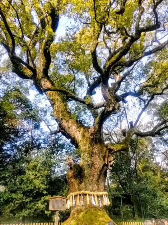 熱田神宮の{uncategorized: "未分類", other: "その他", undefined: "問題あり", building: "その他建物", grave: "お墓", sacred_gate: "鳥居", guardian: "狛犬", statue: "像", buddha: "仏像", history: "歴史", nature: "自然", garden: "庭園", animal: "動物", pagoda: "塔", temizu: "手水舎", mountain_gate: "山門・神門", sanctuary: "本殿・本堂", subordinate: "末社・摂社", art: "芸術", scenery: "景色", jizo: "地蔵", ema: "絵馬", goshuin: "御朱印", omikuji: "おみくじ", items: "授与品その他", amulet: "お守り", goshuincho: "御朱印帳", eats: "食事", festival: "お祭り", votive_dance: "神楽", shichigosan: "七五三参", wedding: "結婚式", experience: "体験その他", initially: "初詣", around: "周辺", anti_infection: "感染症対策"}