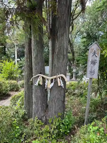 高牟神社（高針）の自然