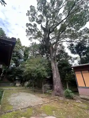 居神神社(神奈川県)