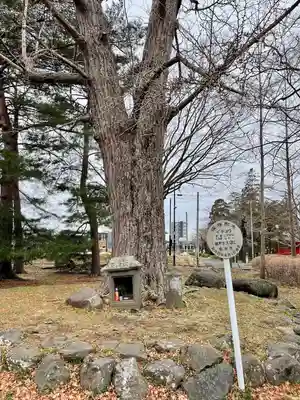 陸奥国分寺薬師堂(宮城県)